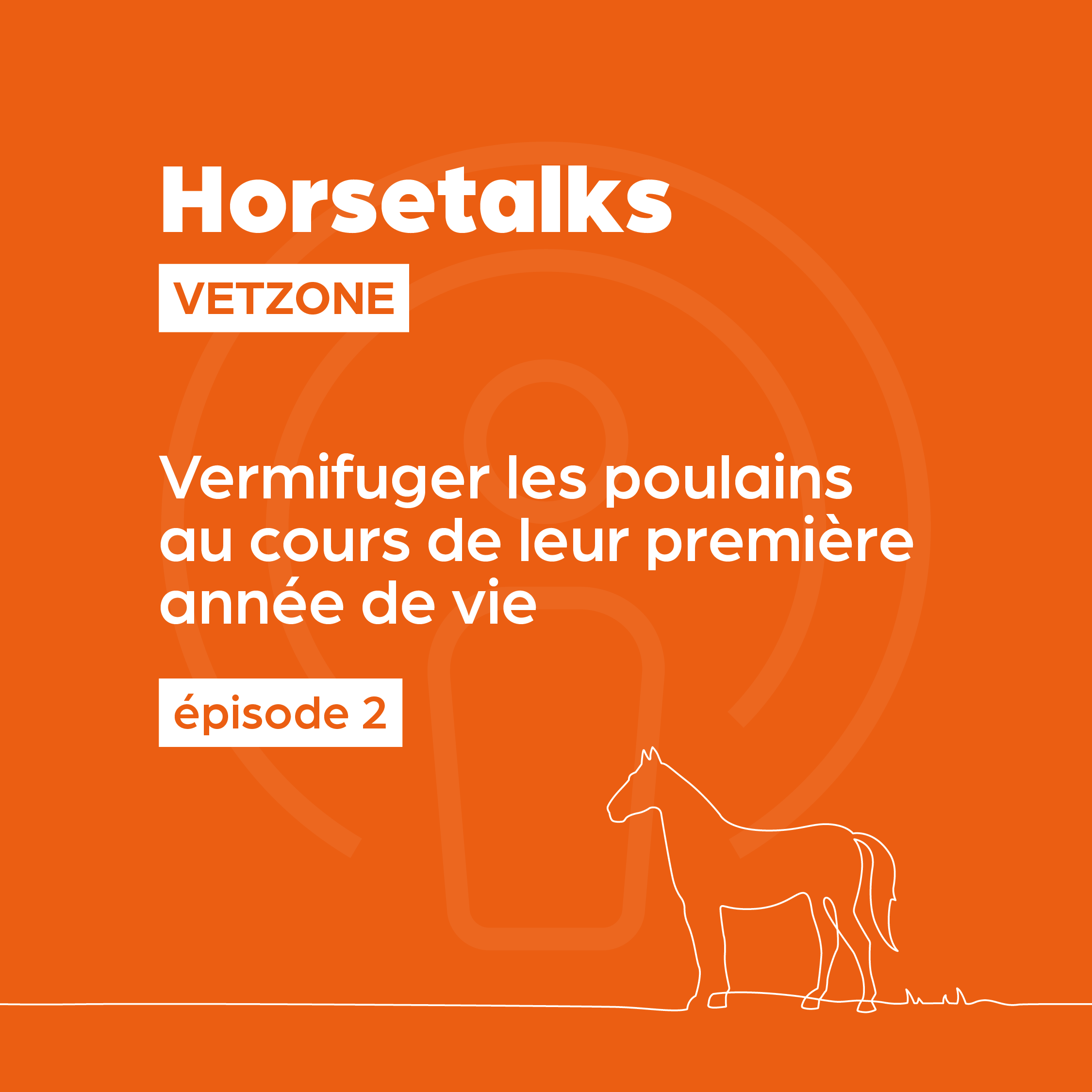 Horsetalks Vetzone — 002 — Vermifuger les poulains au cours de leur première année de vie (BE-FR) episode artwork