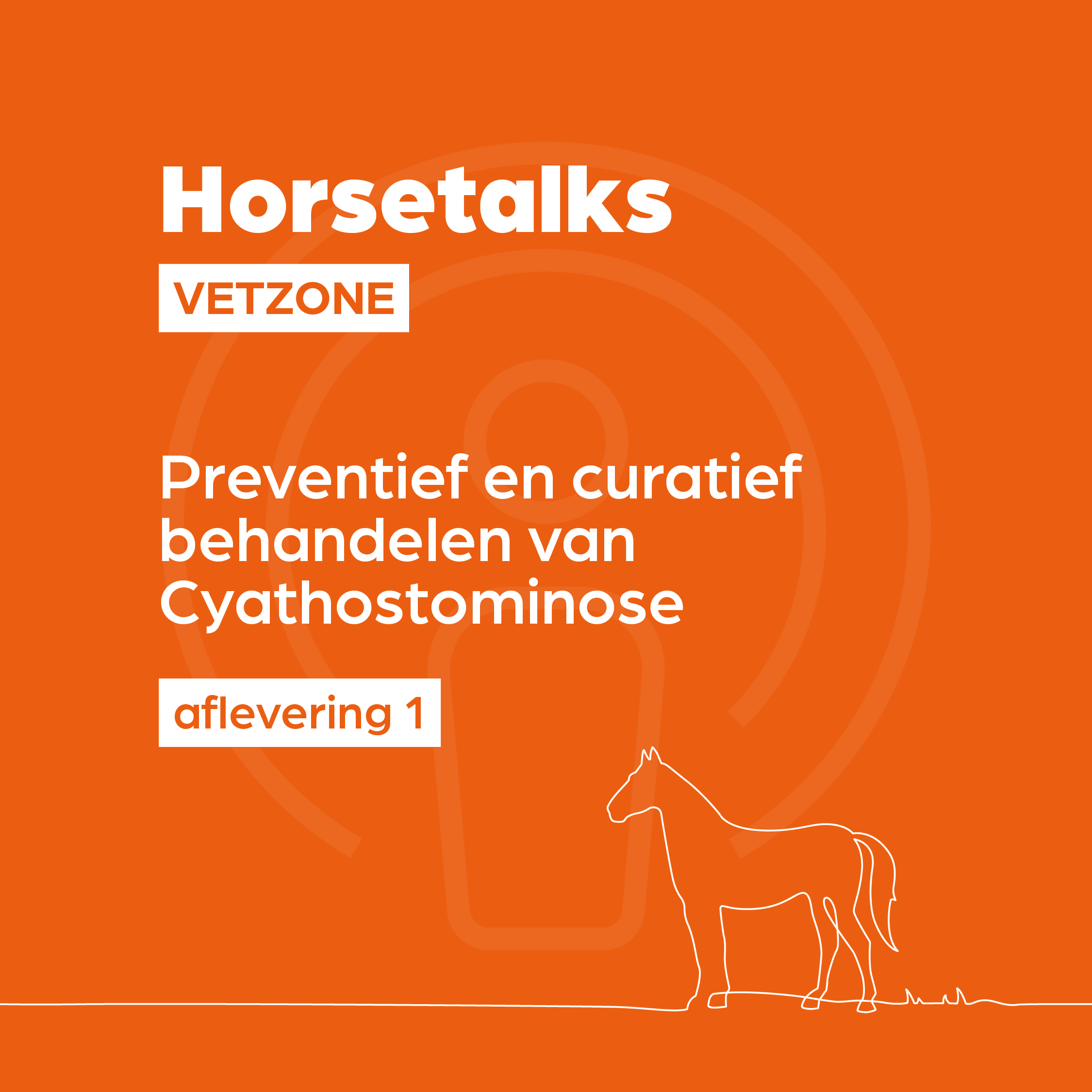 Horsetalks Vetzone — 001 — Preventief en curatief behandelen van Cyathostominose (BE-NL) episode artwork