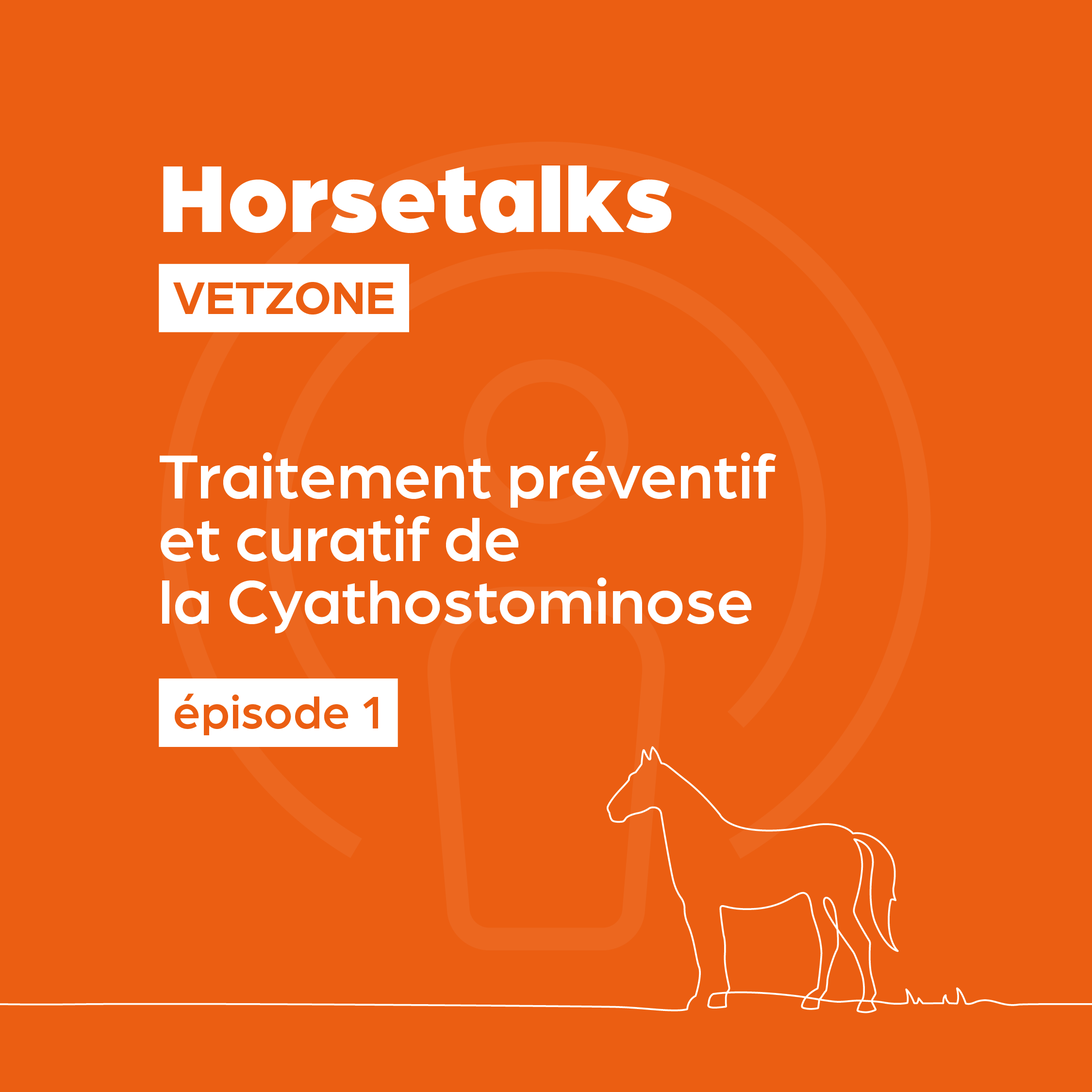 Horsetalks Vetzone — 001 — Traitement préventif et curatif de la Cyathostominose (BE-FR) episode artwork
