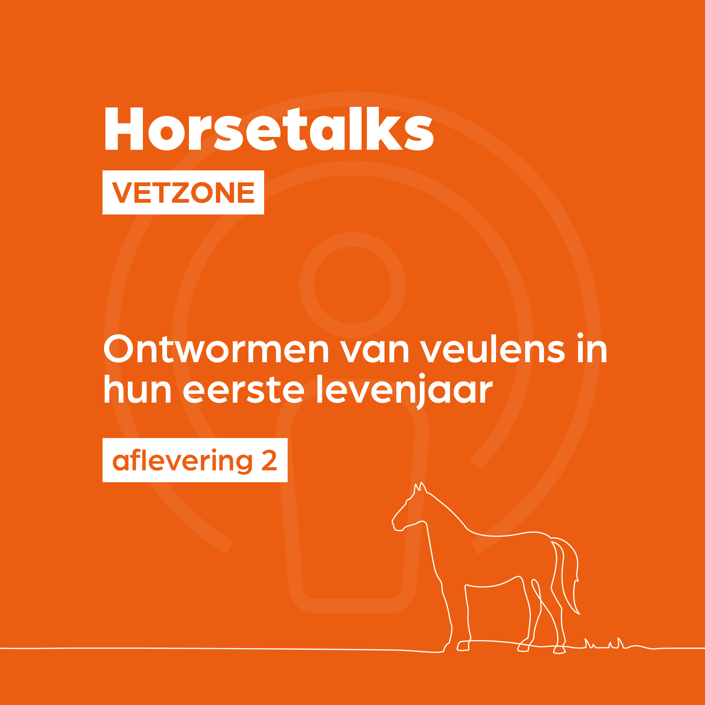 Horsetalks Vetzone — 002 — Ontwormen van veulens in hun eerste levensjaar (BE-NL) episode artwork