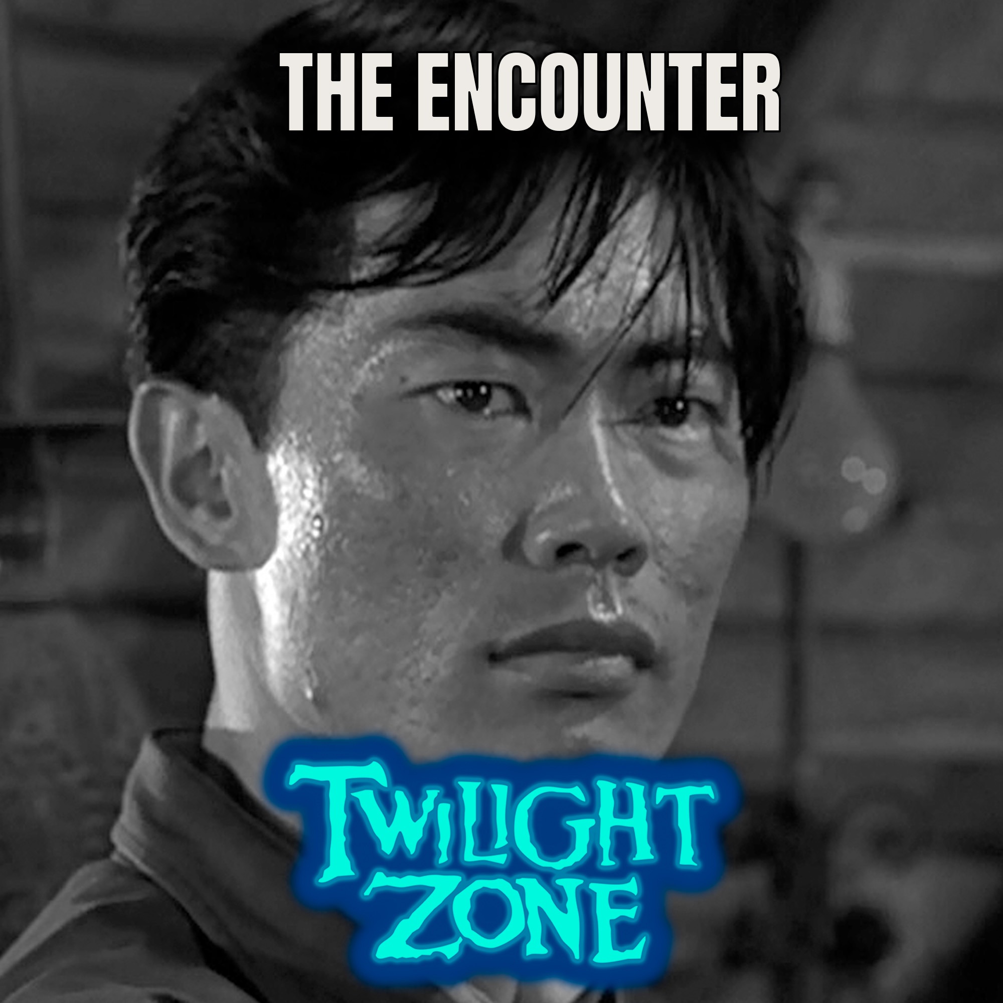 Além da Imaginação Podcast  The Encounter episode artwork