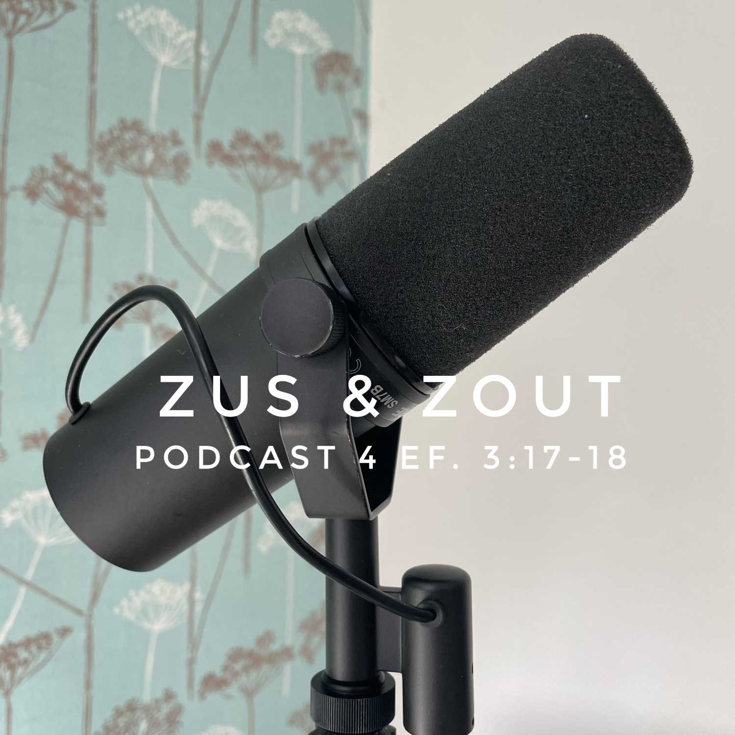 Zus & Zout Podcast