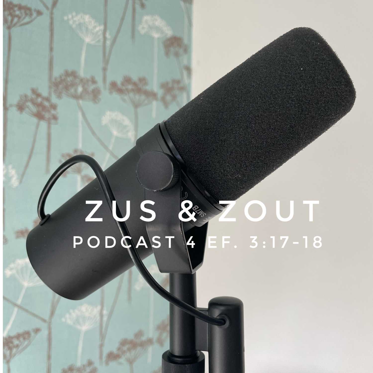 Zus & Zout Podcast
